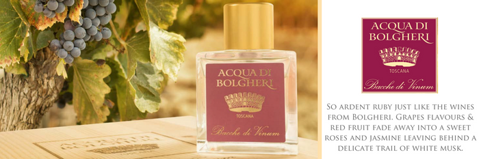 ACQUA DI BOLGHERI Bacche di Vinum Eau de Parfum 50 ml - EMPORIO ITALIANO