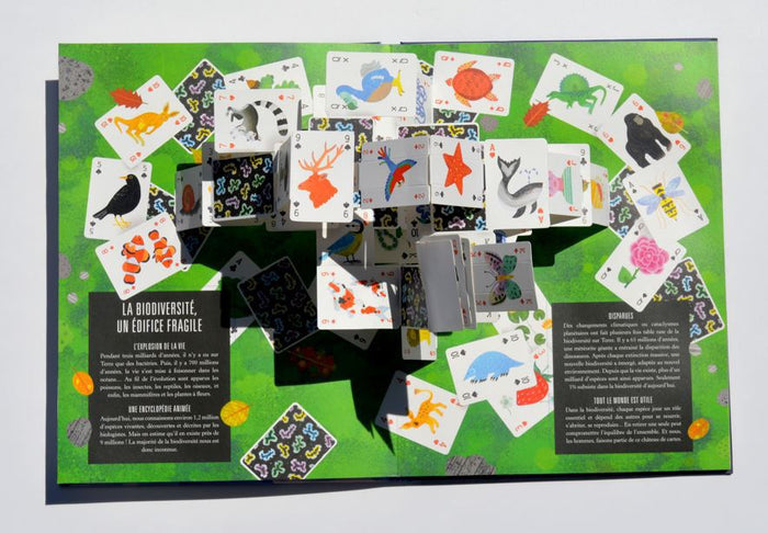 Book - Pop Up Earth - Spread01