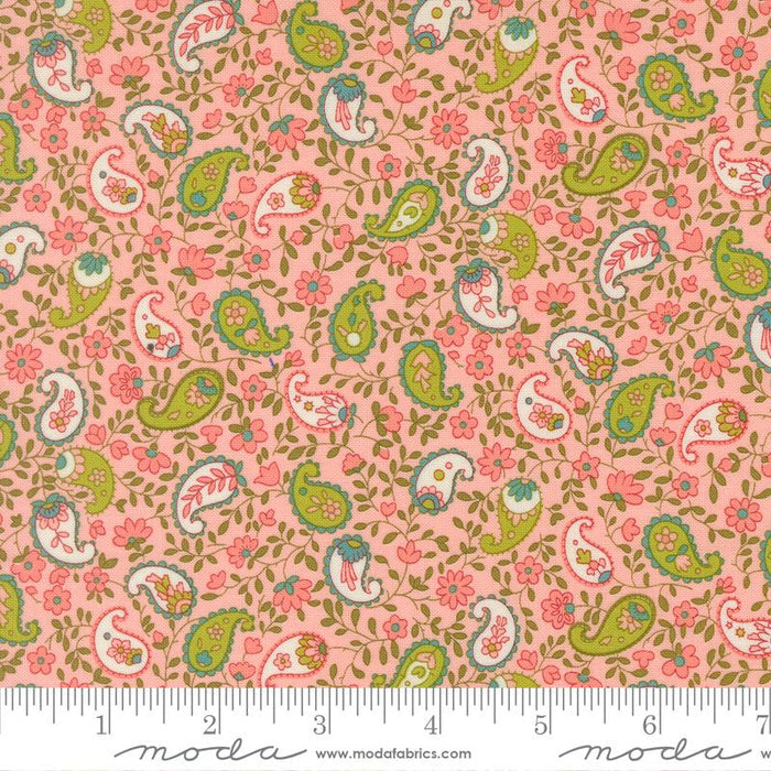 F2650 - Happy Daze Paisley - Bubblegum