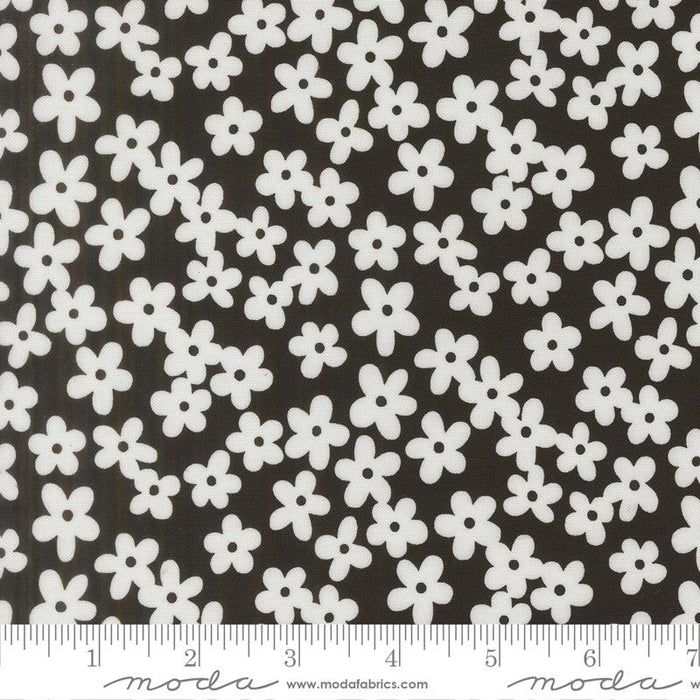 F2760 - True to Hue- Black as Night Daisy