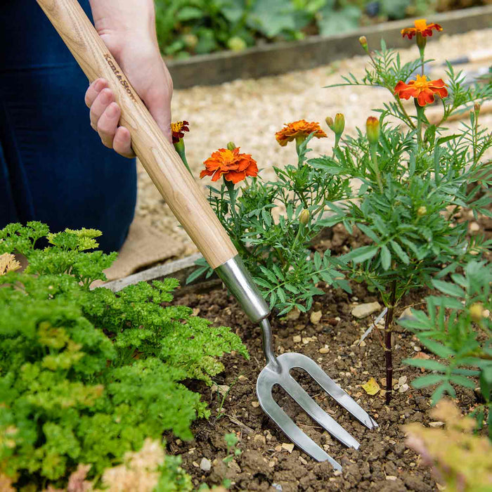 Kent & Stowe - Stainless Steel Border Long Handled Fork