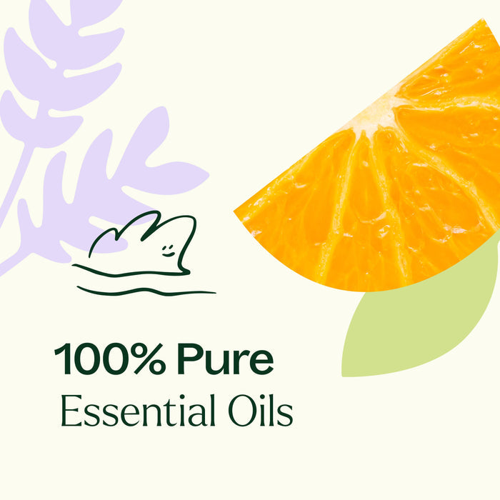 Plant Therapy - Meditation Essential Oil Blend 10 mL