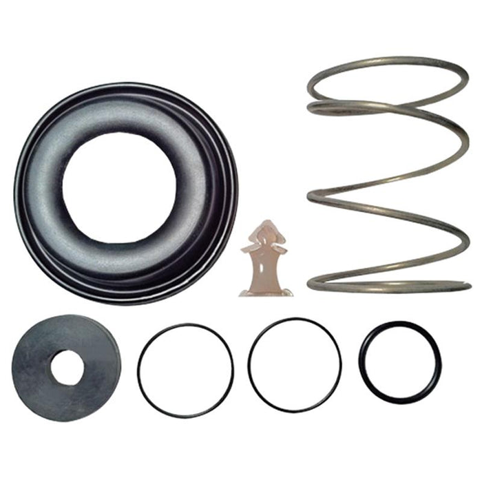 Relief Valve Rubbers and Spring Kit