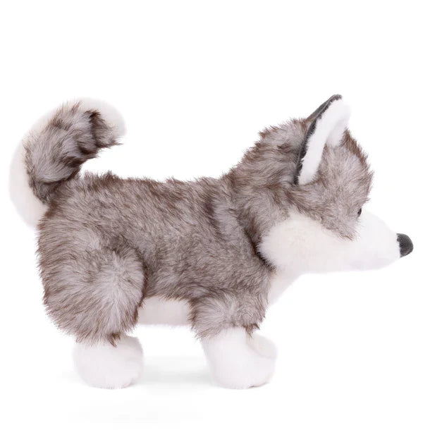 Sweet Husky