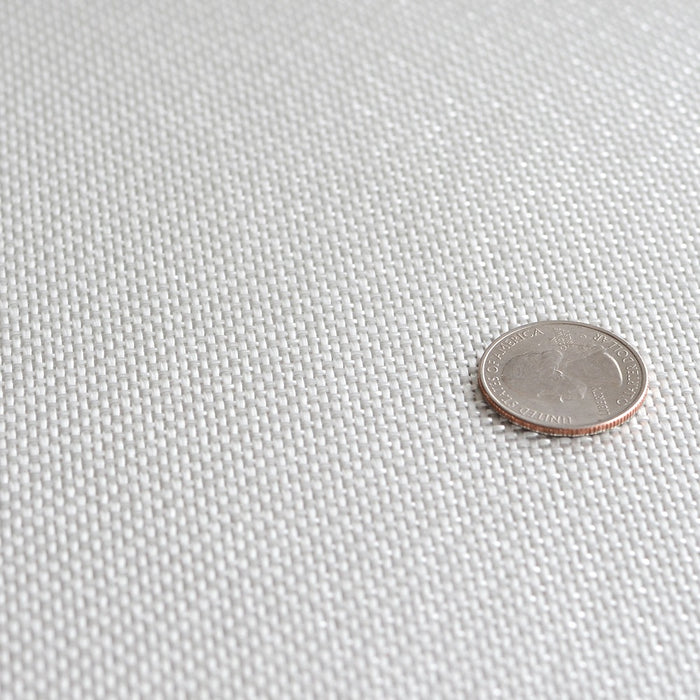 10 ounce woven fiberglass cloth with a quarter for size reference.