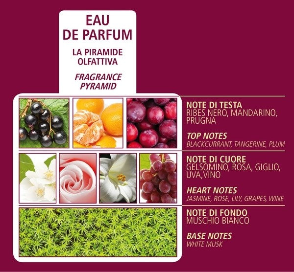 ACQUA DI BOLGHERI Bacche di Vinum Eau de Parfum 50 ml - EMPORIO ITALIANO