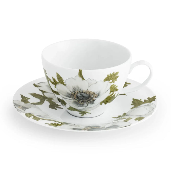 Cup & Saucer