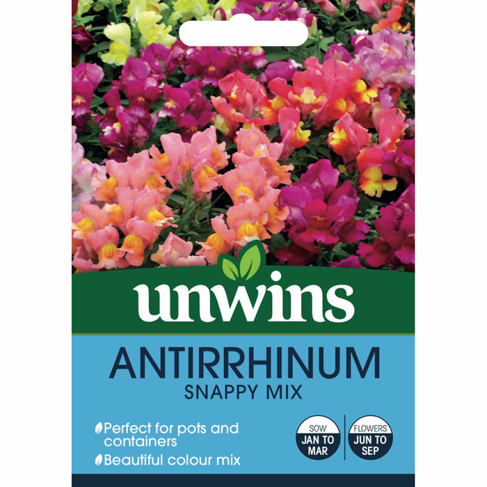 Antirrhinum Seeds 'Snappy Mix'