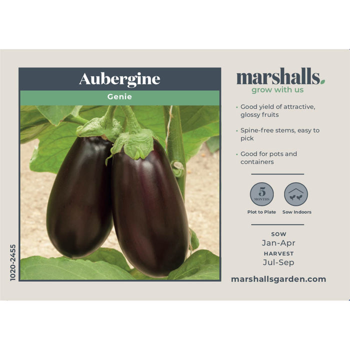 Aubergine Seeds 'Genie'
