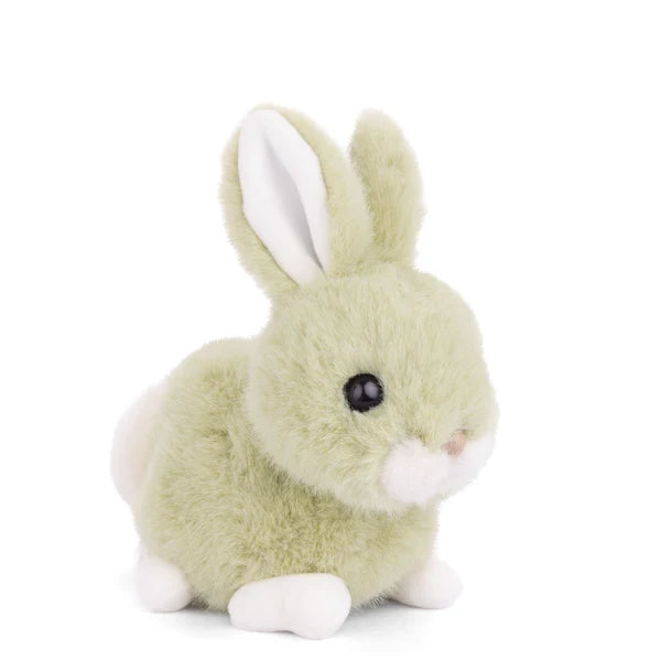 Baby Bunny Lime