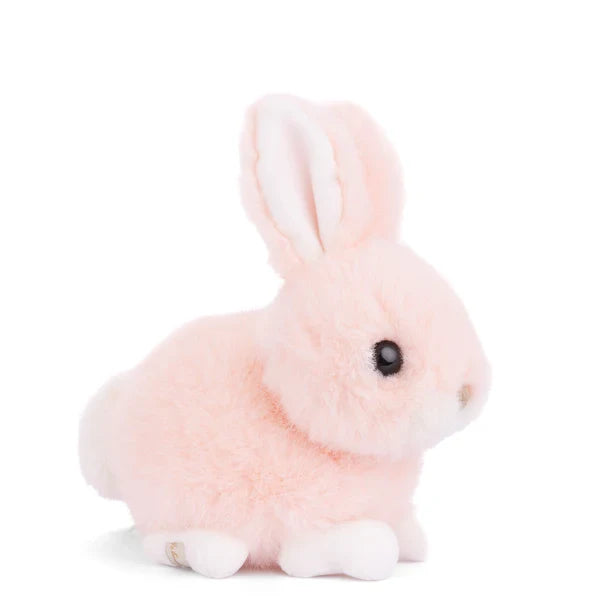 Baby Bunny Peach