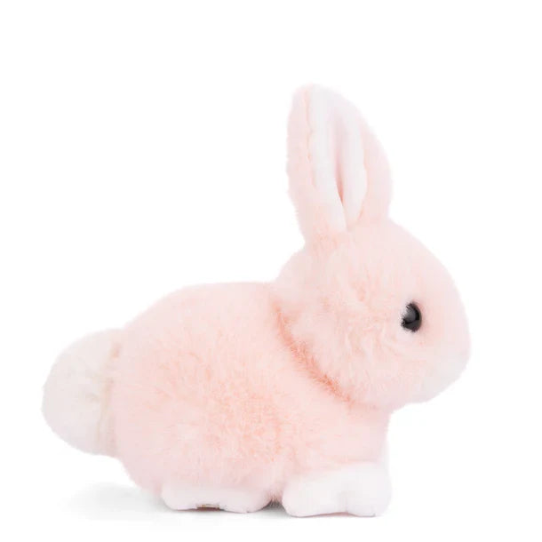 Baby Bunny Peach