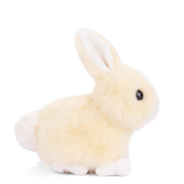 Baby Bunny Vanilla