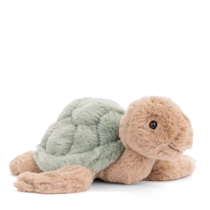 Baby Sandy Green Turtle