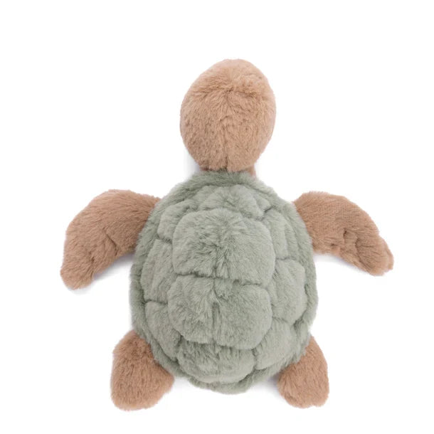 Baby Sandy Green Turtle