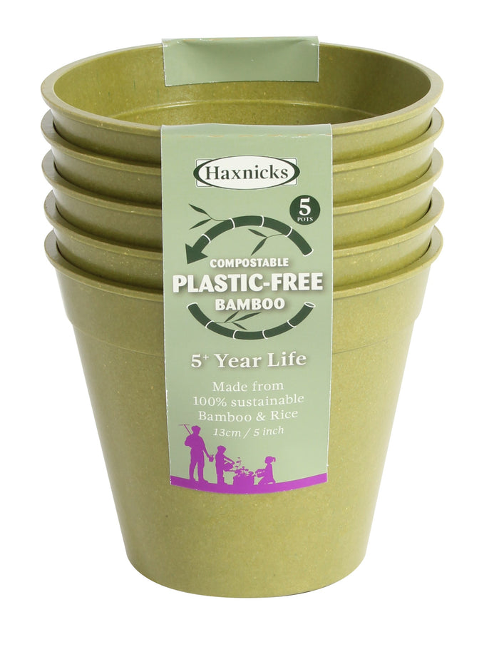 Bamboo Pot 5" - 5 Pack