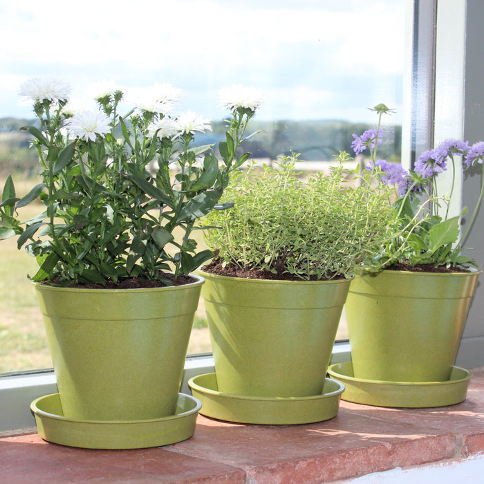 Three green potted plants on a windowsill with a view of a field.