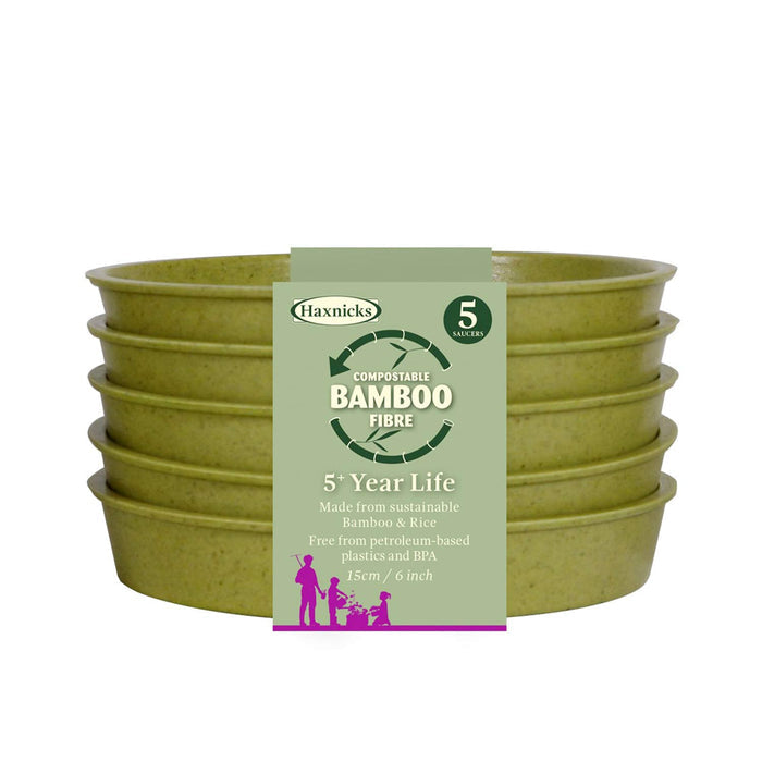Bamboo Saucers in Sage Green
