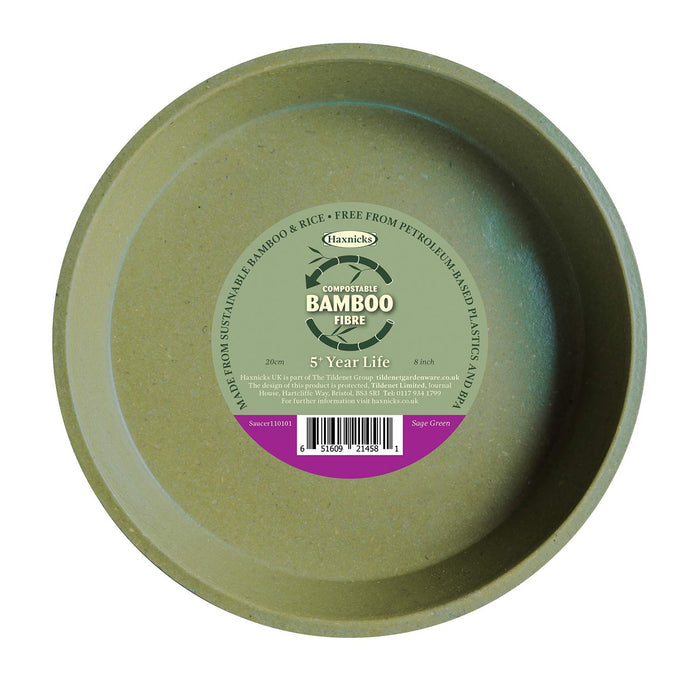 Bamboo Saucers in Sage Green