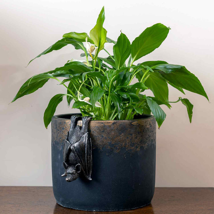 Bat Pot Buddy
