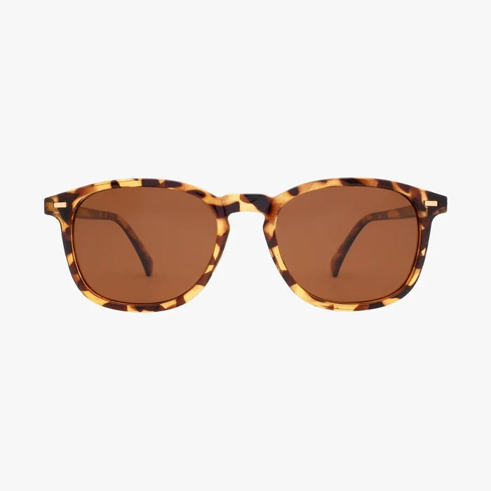 Bean Classic Tort Polarized Unisex Round Classic Sunglasses