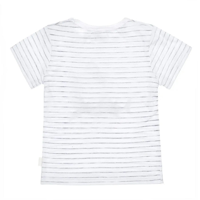 Boys T-shirt White Grey Striped With Shark | Dirkje - Jenni Kidz