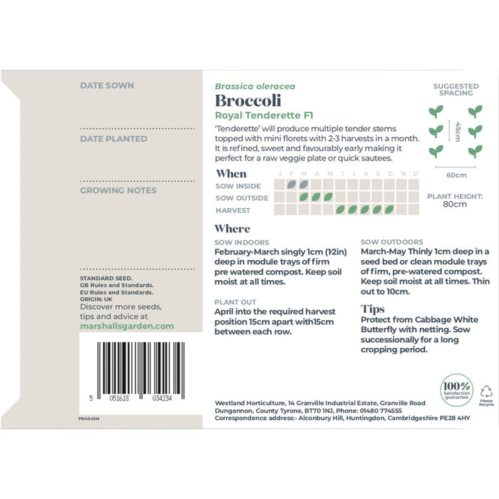 Broccoli Seeds 'Royal Tenderette' F1