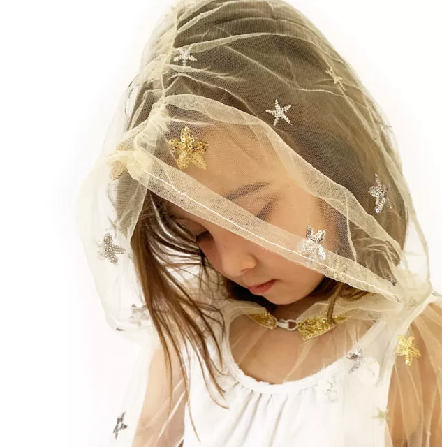 Cape Dress Up - Gold & Silver Embroidered Fairy - Hood Close Up