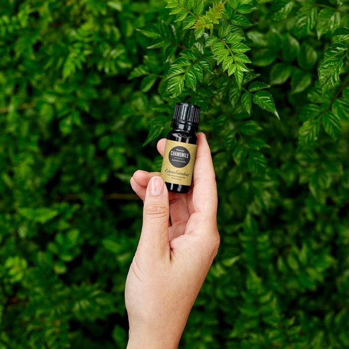 Chamomile- Roman Essential Oil
