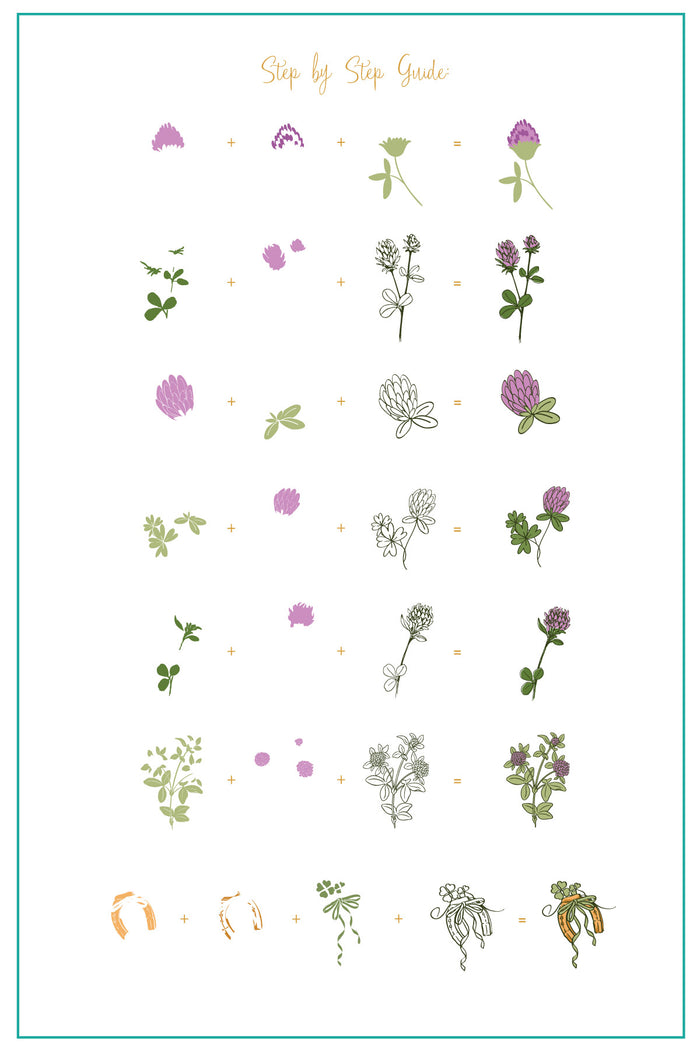 CjSH-105  Pretty Clover |  Steel Nail Art Stamping Plate