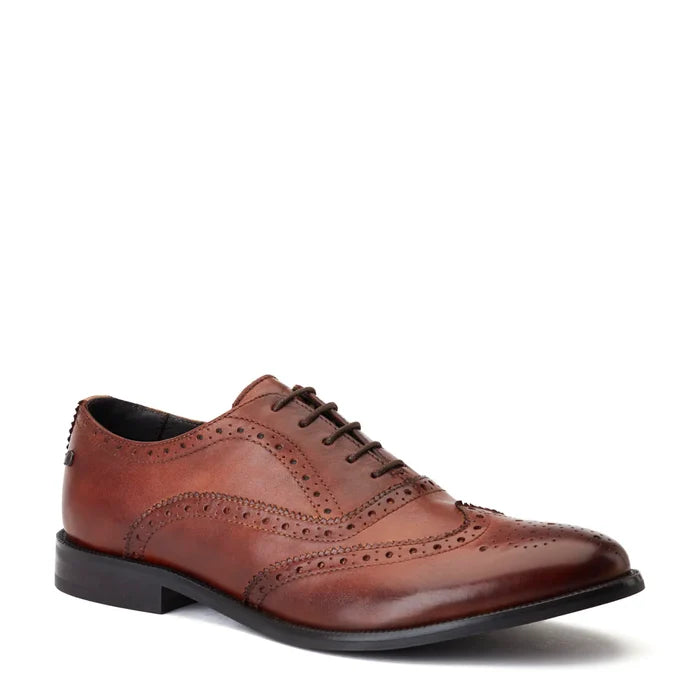 Darcy Lace Up Oxford Shoe
