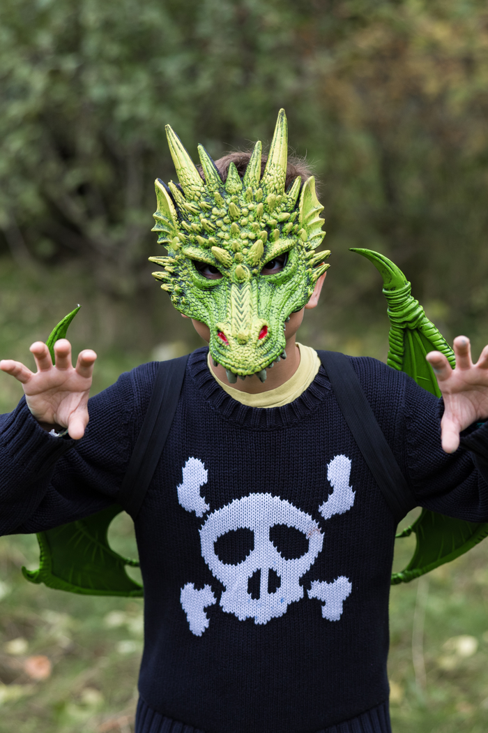 Dragon Mask