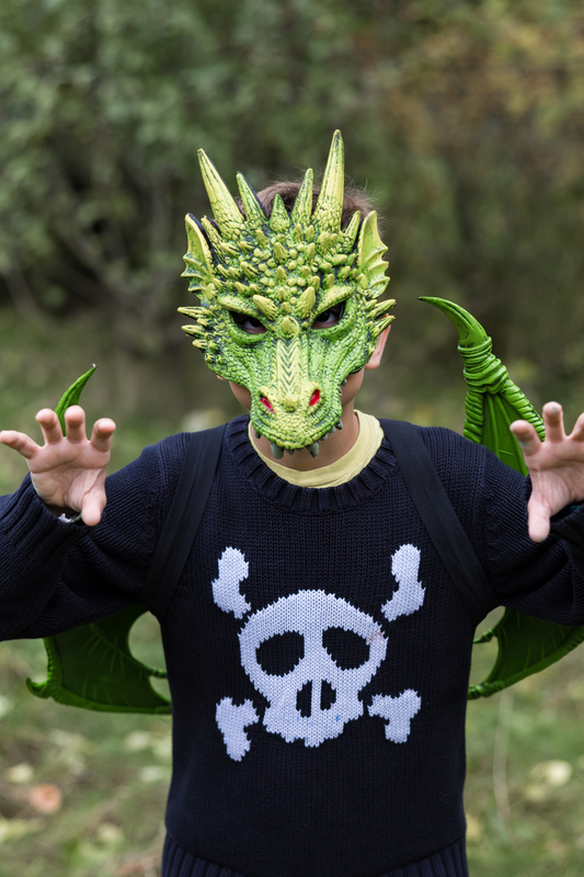 Dragon Mask