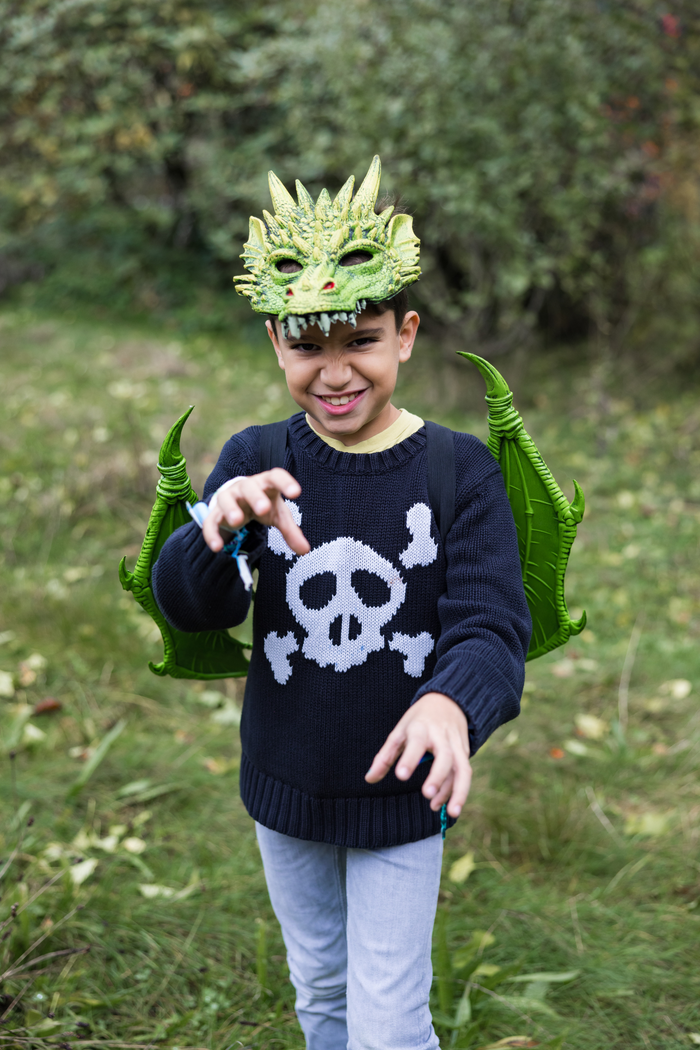 Dragon Mask