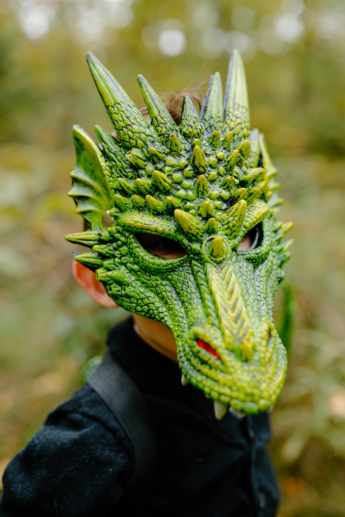 Dragon Mask
