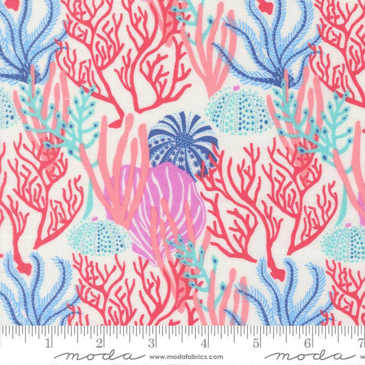 F2573 - Reef Coral Reef, Pearl