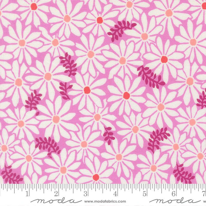 F2580 - Reef Bloom, Petal