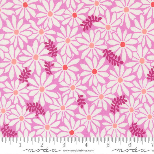 F2580 - Reef Bloom, Petal