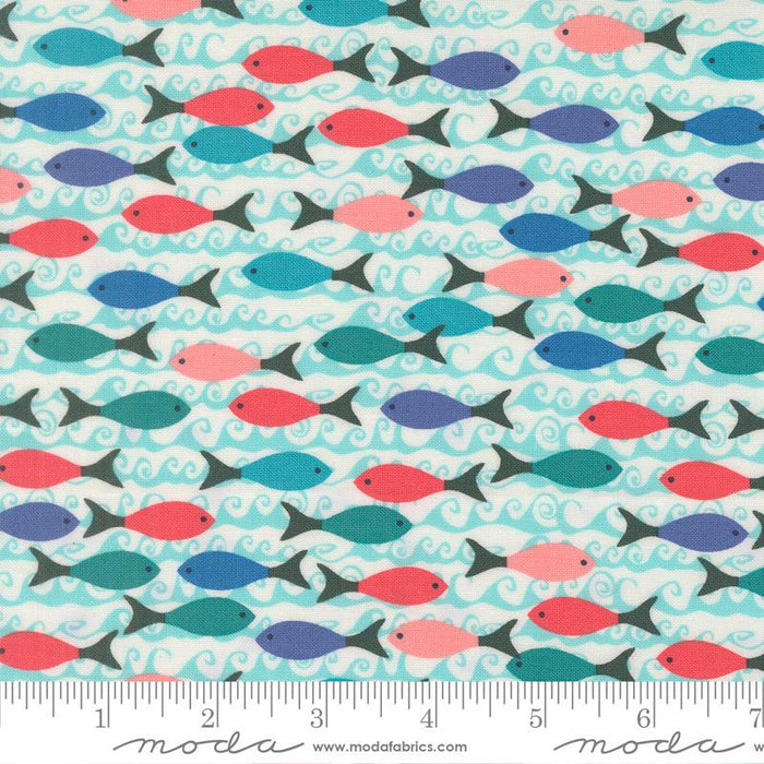 F2582 - Reef School of Fish, Pearl