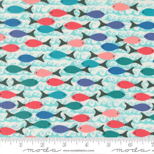 F2582 - Reef School of Fish, Pearl
