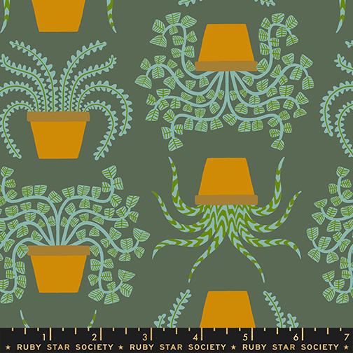 F2589 - Calathea Seaweed