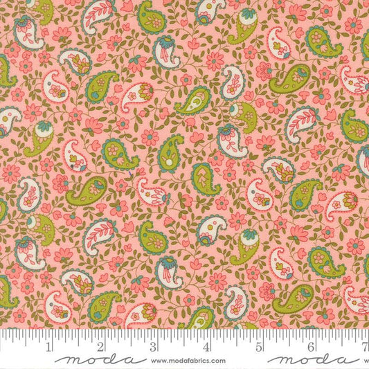 F2650 - Happy Daze Paisley - Bubblegum