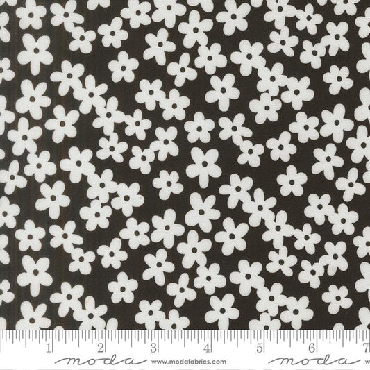F2760 - True to Hue- Black as Night Daisy