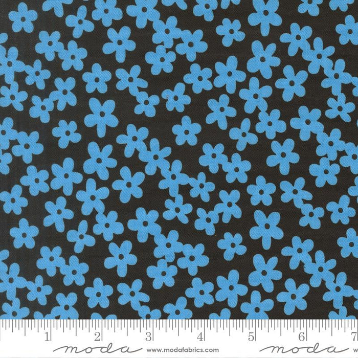 F2761 - True to Hue- Night Blue Daisy