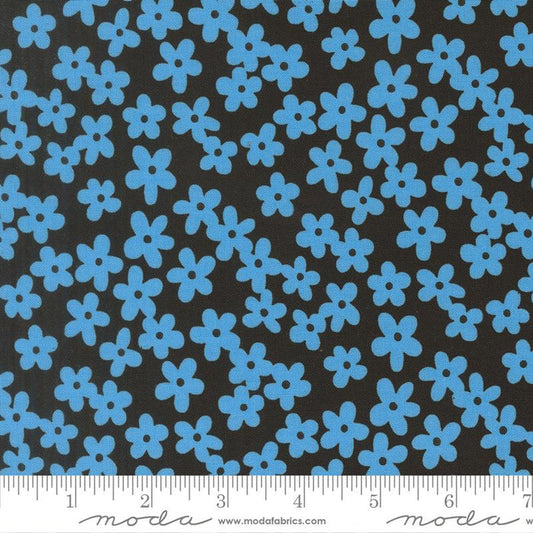 F2761 - True to Hue- Night Blue Daisy
