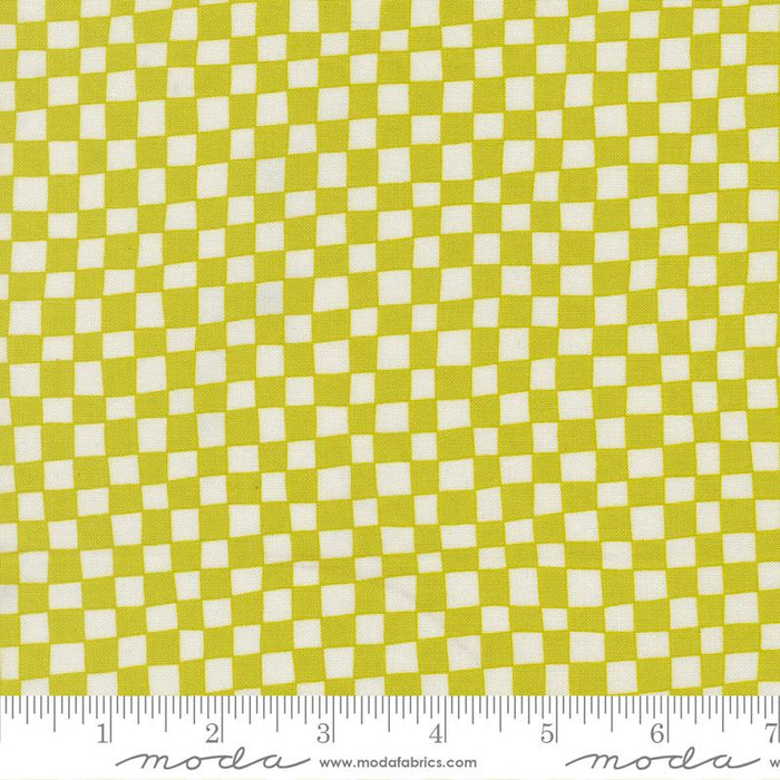 F2763 - True to Hue- Citronized