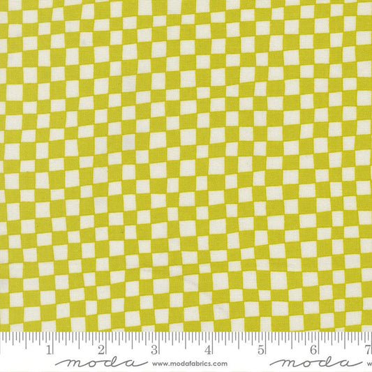 F2763 - True to Hue- Citronized