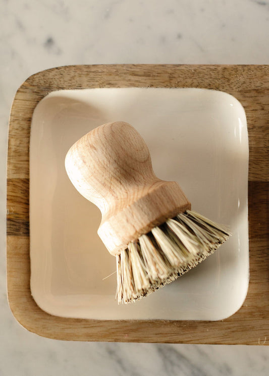 FN Scrub Brush