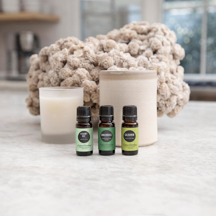 Galbanum Essential Oil