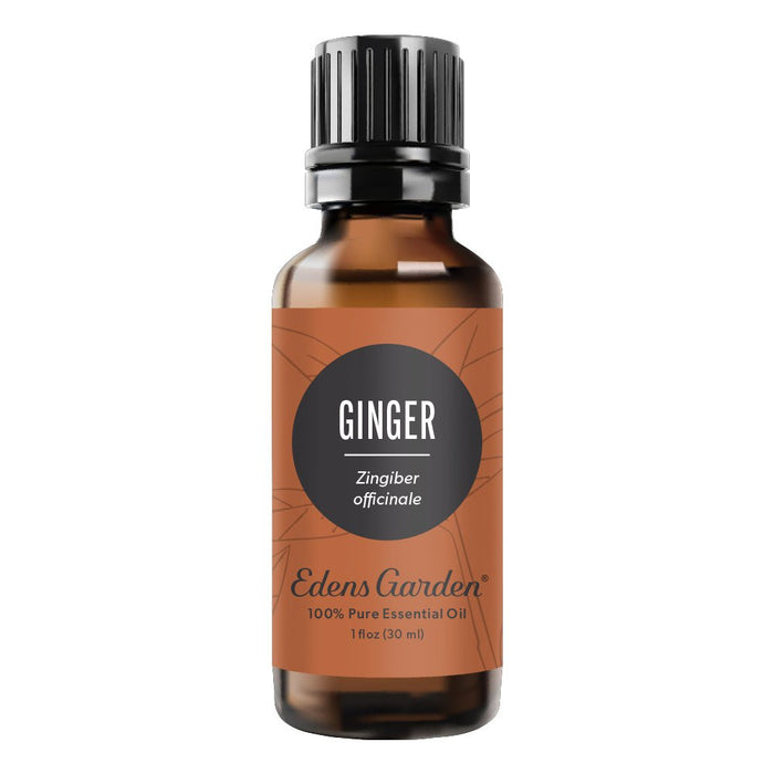 Ginger Essential Oil